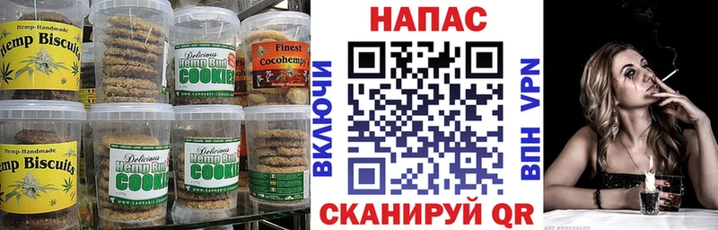 где купить наркоту  Саранск  ОМГ ОМГ маркетплейс  Печенье с ТГК конопля 