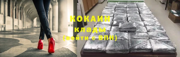 хмурый Инта