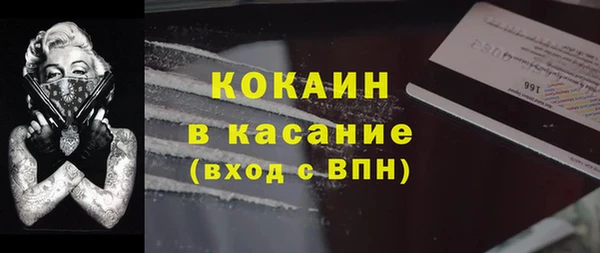 твердый Лагань