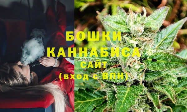 мет Ладушкин