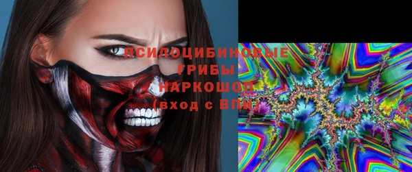 мет Ладушкин