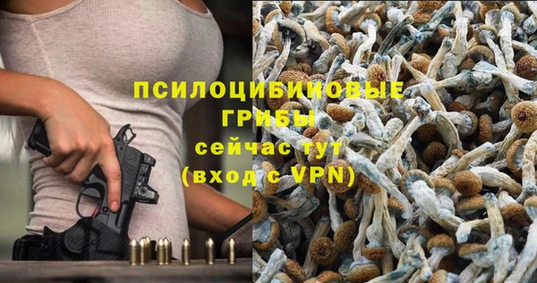 гидра Лабытнанги