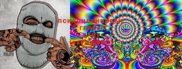 ешки Иннополис