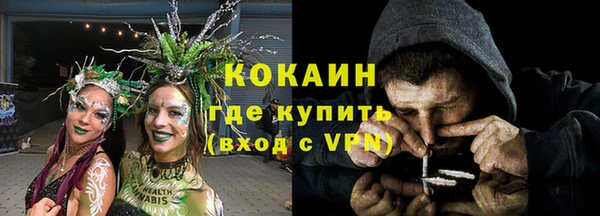 твердый Лагань