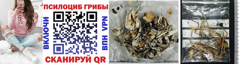 где найти   Саранск  Псилоцибиновые грибы Psilocybe 